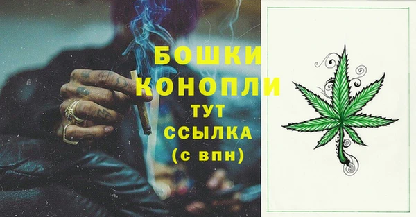 МДПВ Мегион