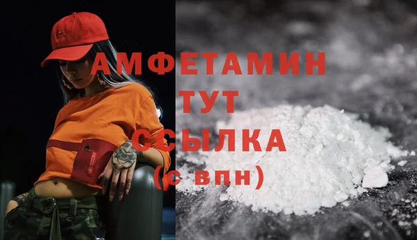 МДПВ Мегион